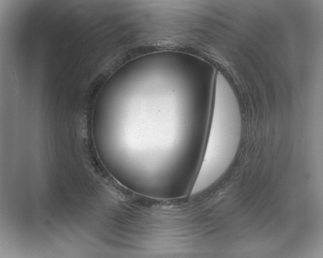 X0000071940689200607071014