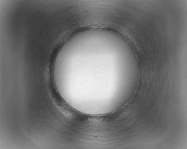 X0000071940690200607071014