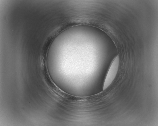 X0000071940692200607071014