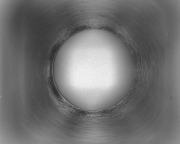 X0000071940694200607071014