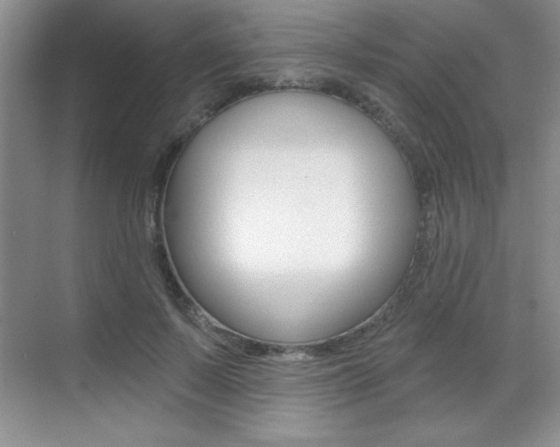 X0000071940695200607071014