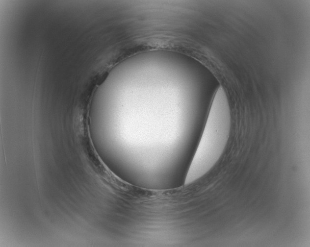 X0000071940696200607071014