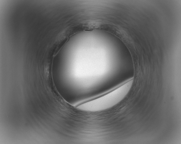 X0000071940697200607071013