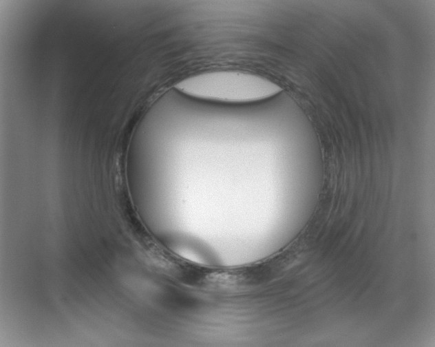 X0000071940699200607071013