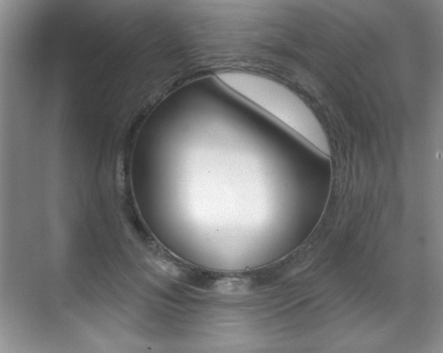 X0000071940700200607071013