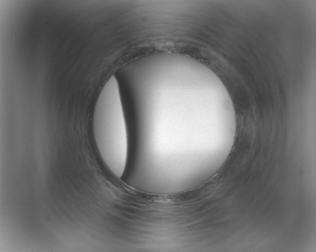 X0000071940702200607071013