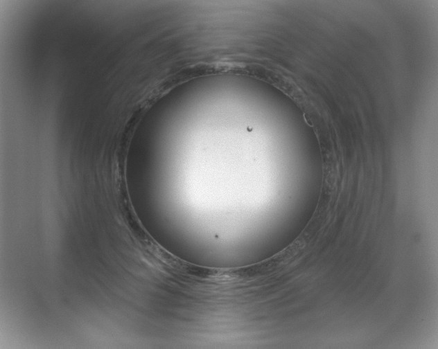 X0000071940704200607071013