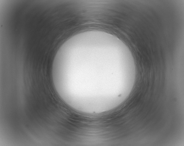 X0000071940705200607071013