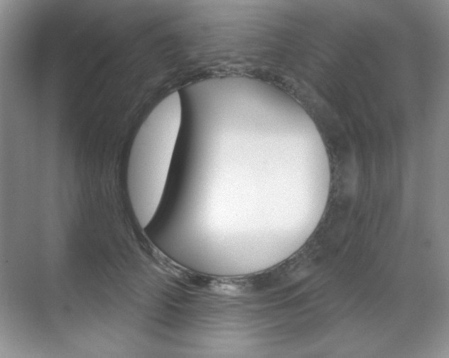 X0000071940706200607071013
