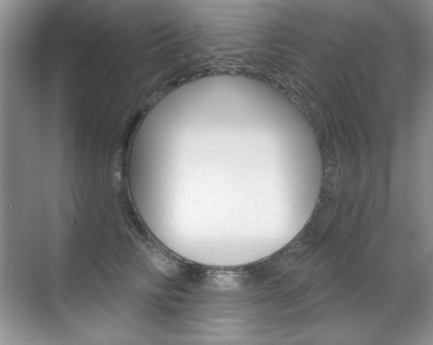 X0000071940710200607071013
