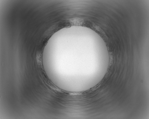 X0000071940713200607071013