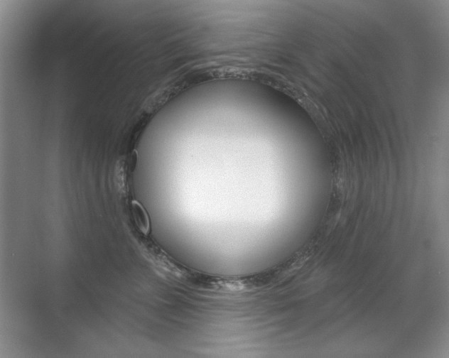 X0000071940715200607071013