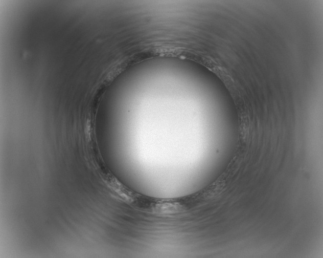 X0000071940716200607071013