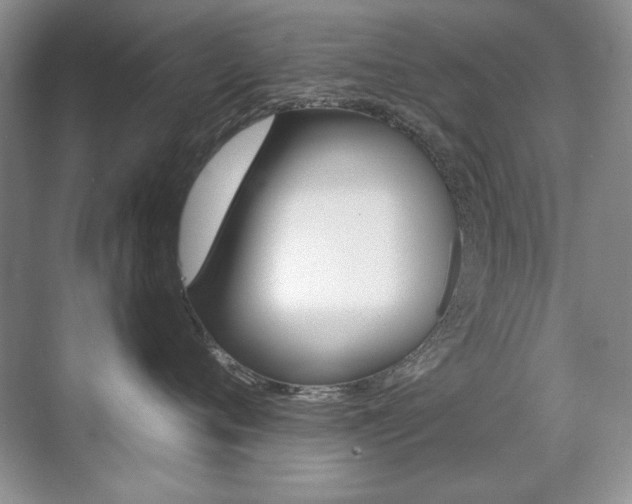 X0000071940720200607071013