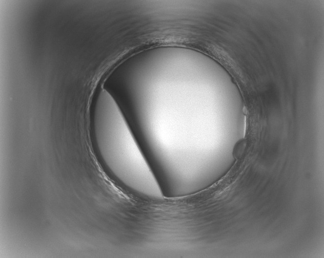 X0000071940721200607071012