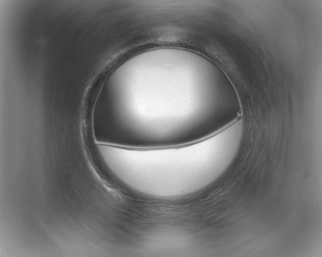 X0000071940728200607071012