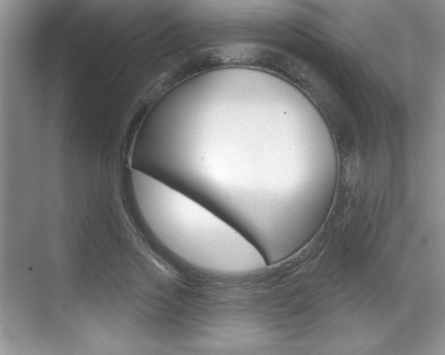 X0000071940733200607071013