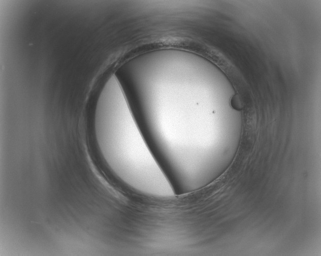 X0000071940734200607071013
