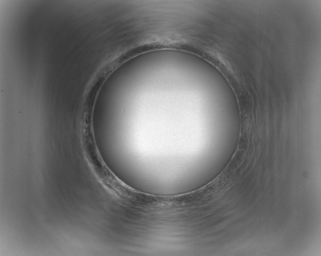 X0000071940736200607071013