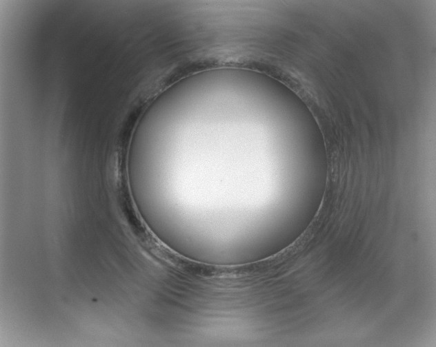 X0000071940740200607071013