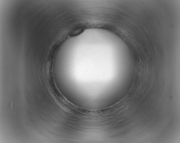 X0000071940742200607071013