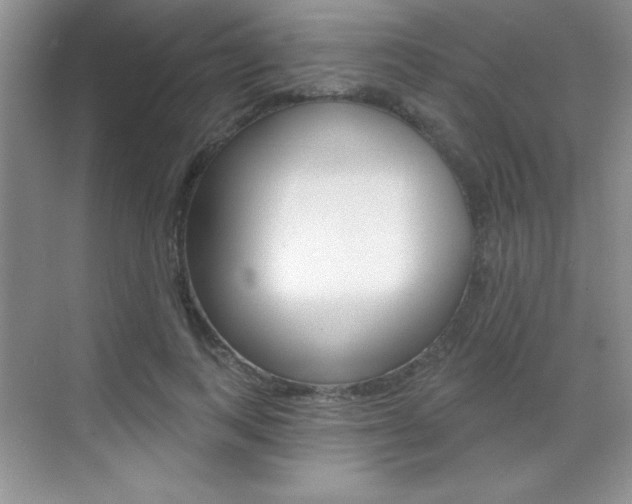 X0000071940743200607071013