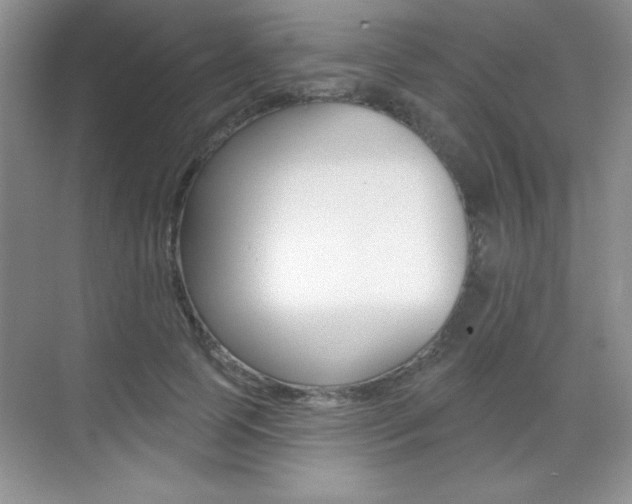 X0000071940745200607071013