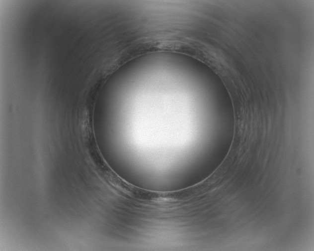 X0000071940748200607071013