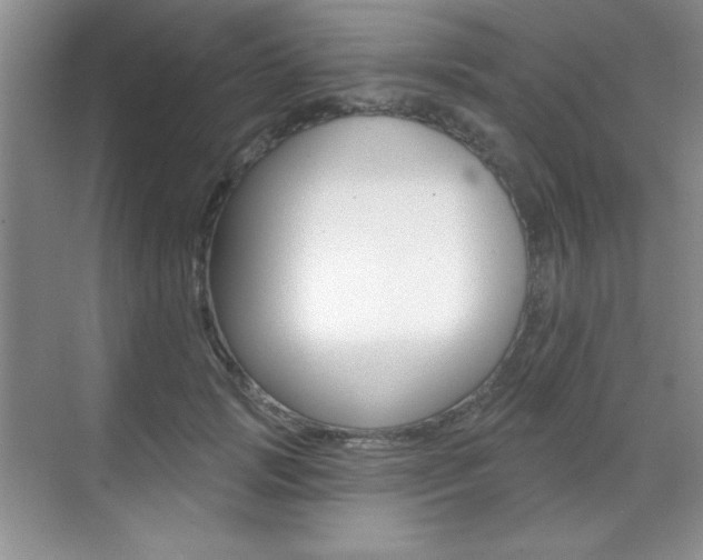 X0000071940749200607071013