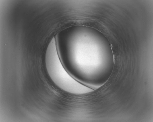 X0000071940750200607071013