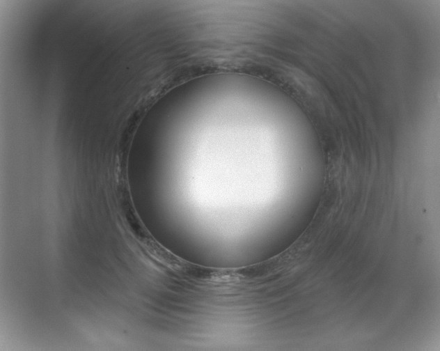X0000071940752200607071013