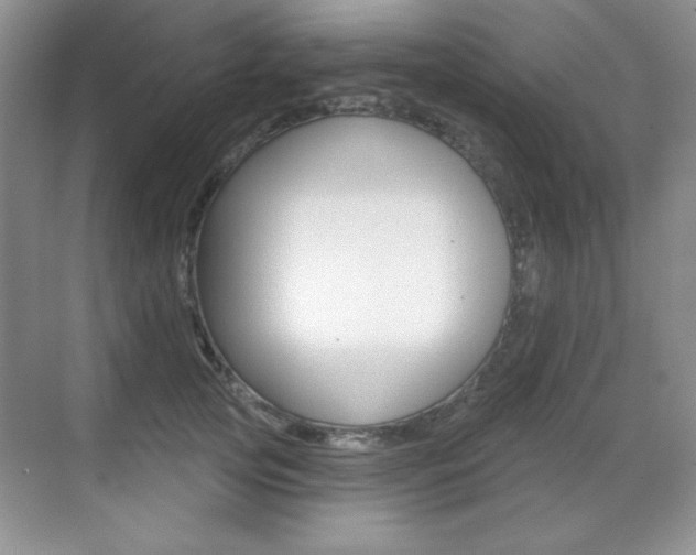 X0000071940753200607071013