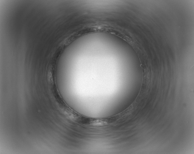 X0000071940754200607071013