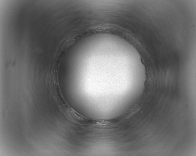 X0000071940758200607071013