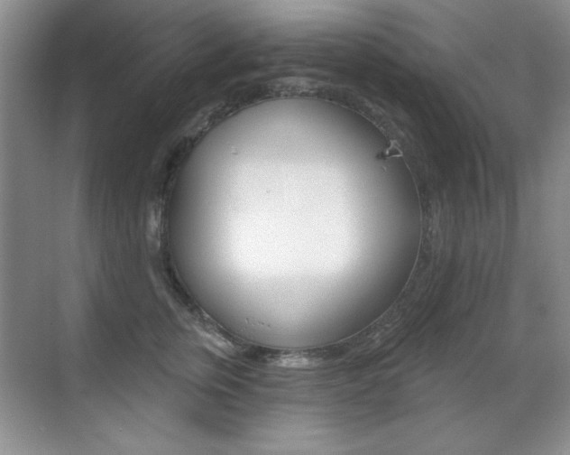 X0000071940759200607071013