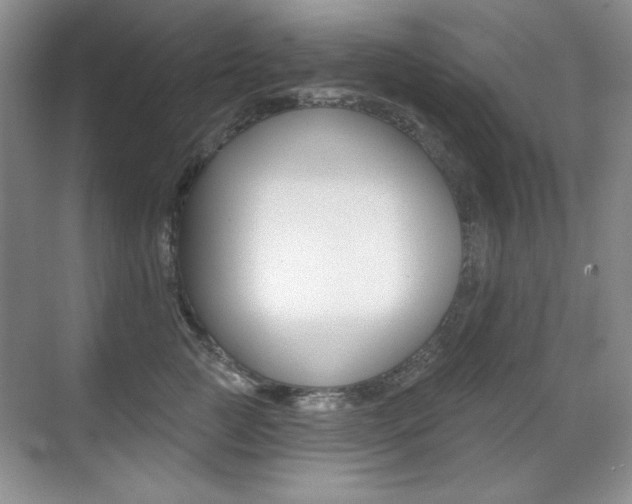 X0000071940761200607071013