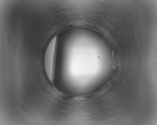 X0000071940762200607071013