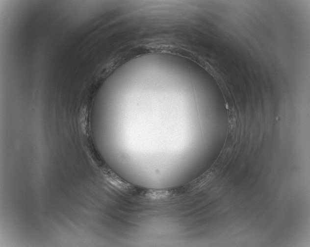 X0000071940767200607071013