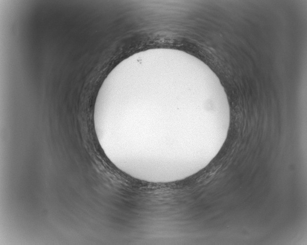 X0000071940769200607071012