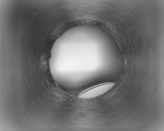 X0000071940771200607071012
