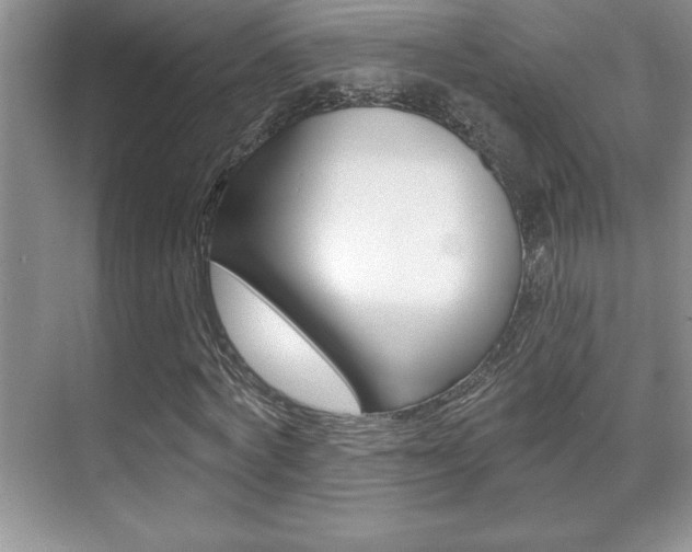 X0000071940772200607071012