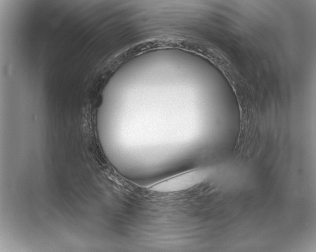 X0000071940773200607071012