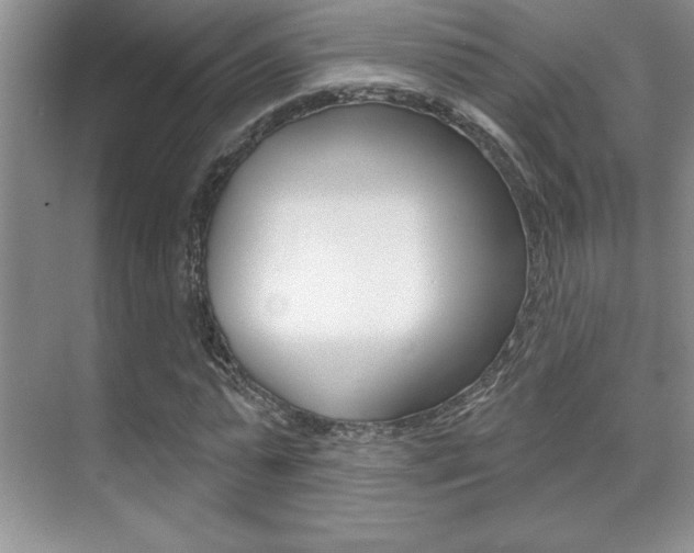 X0000071940775200607071012