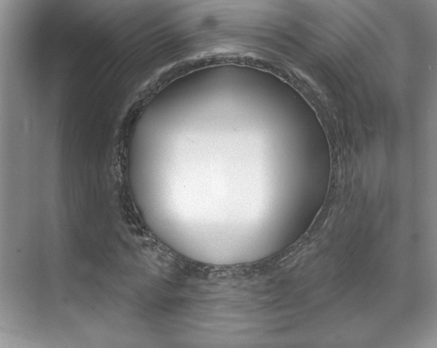X0000071940776200607071012