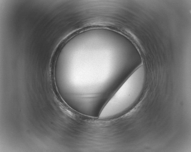 X0000071940779200607071012