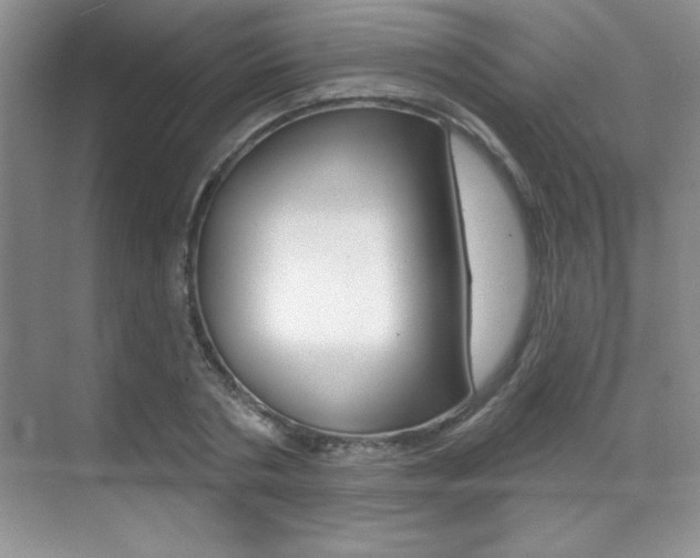 X0000071940786200607071012