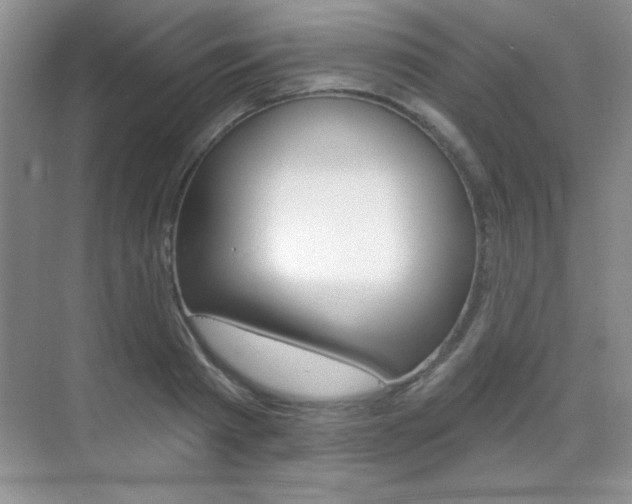 X0000071940793200607071012