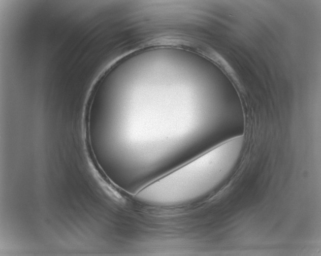 X0000071940795200607071012