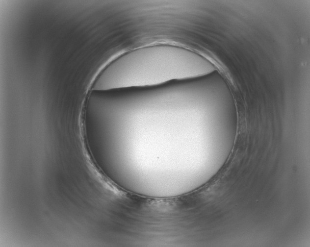 X0000071940806200607071012