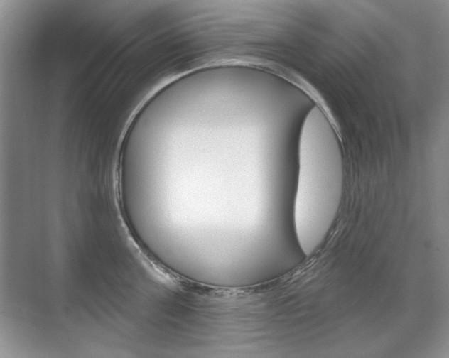 X0000071940811200607071012